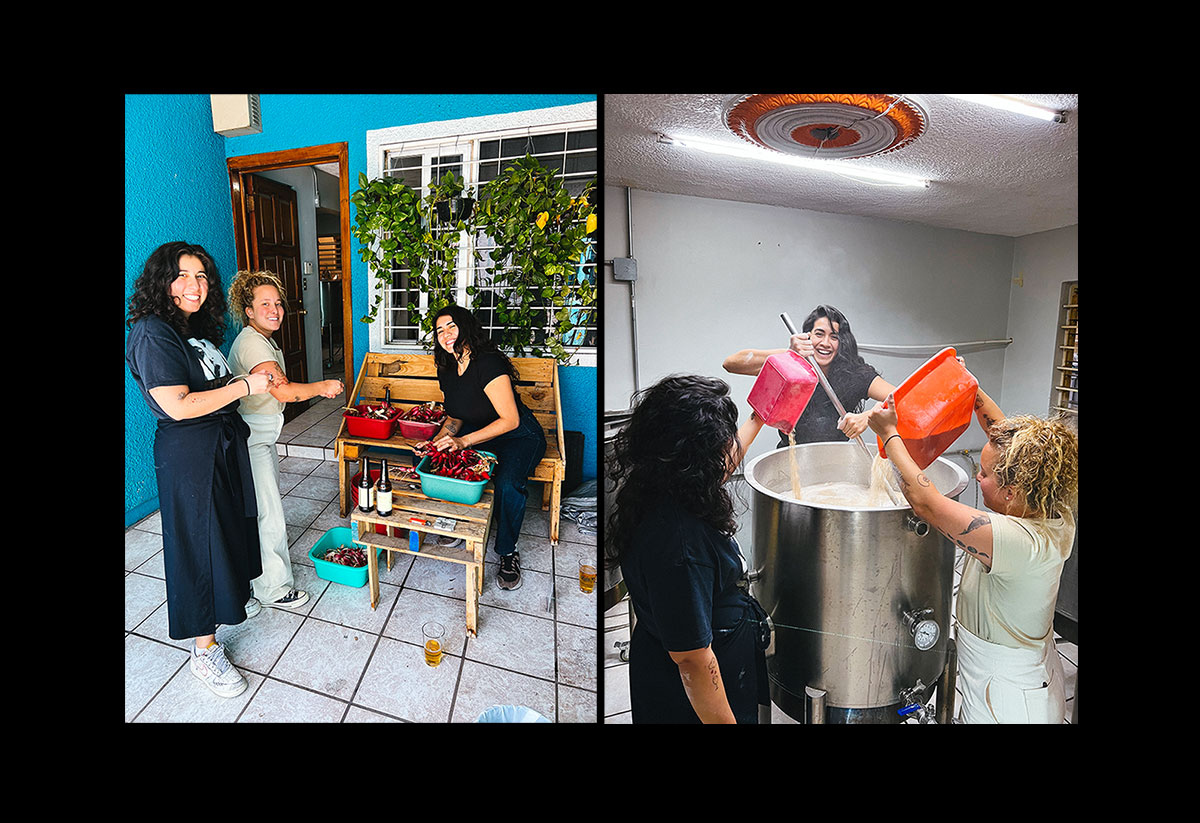 inside the brewhouse in mexico with Daniela Soto-Innes and her Rubra Team